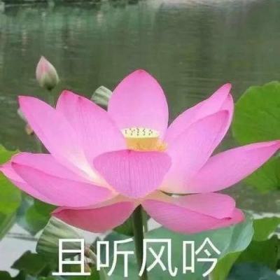 锦绣中国年丨湖北：极目楚天舒 乐享“文化年”